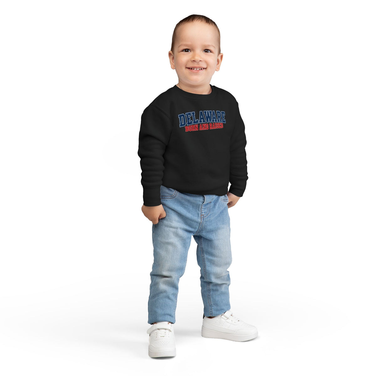 Delaware Born and Raised Vintage Collegiate Unisex Toddler Sweatshirt