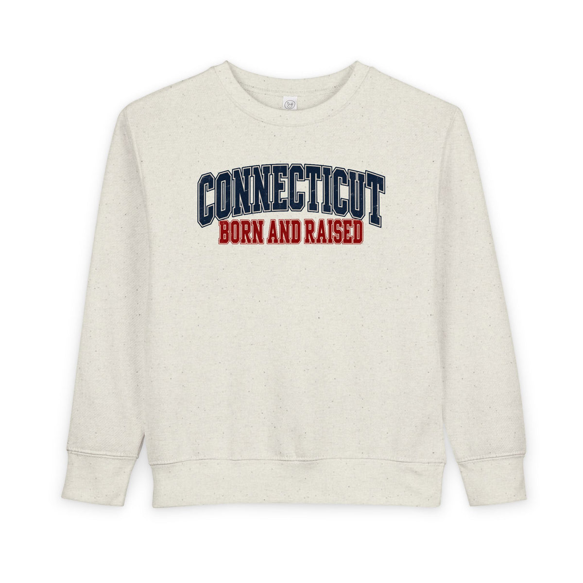 Connecticut Born and Raised Retro Collegiate Unisex Toddler Sweatshirt