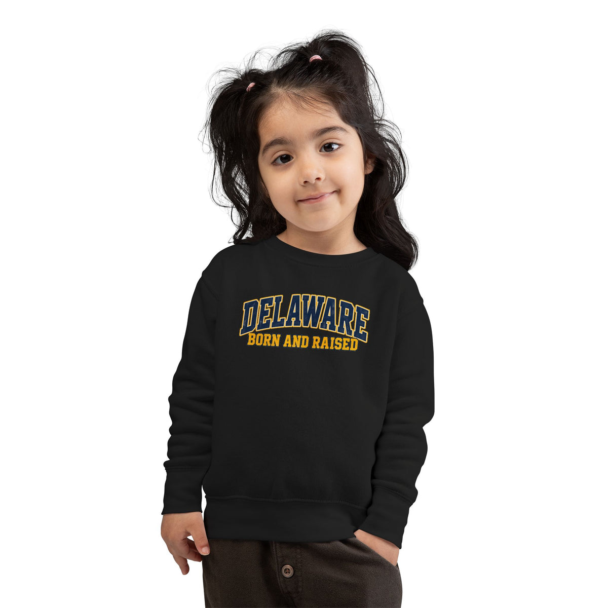 Delaware Born and Raised Old-School Athletic Unisex Toddler Sweatshirt