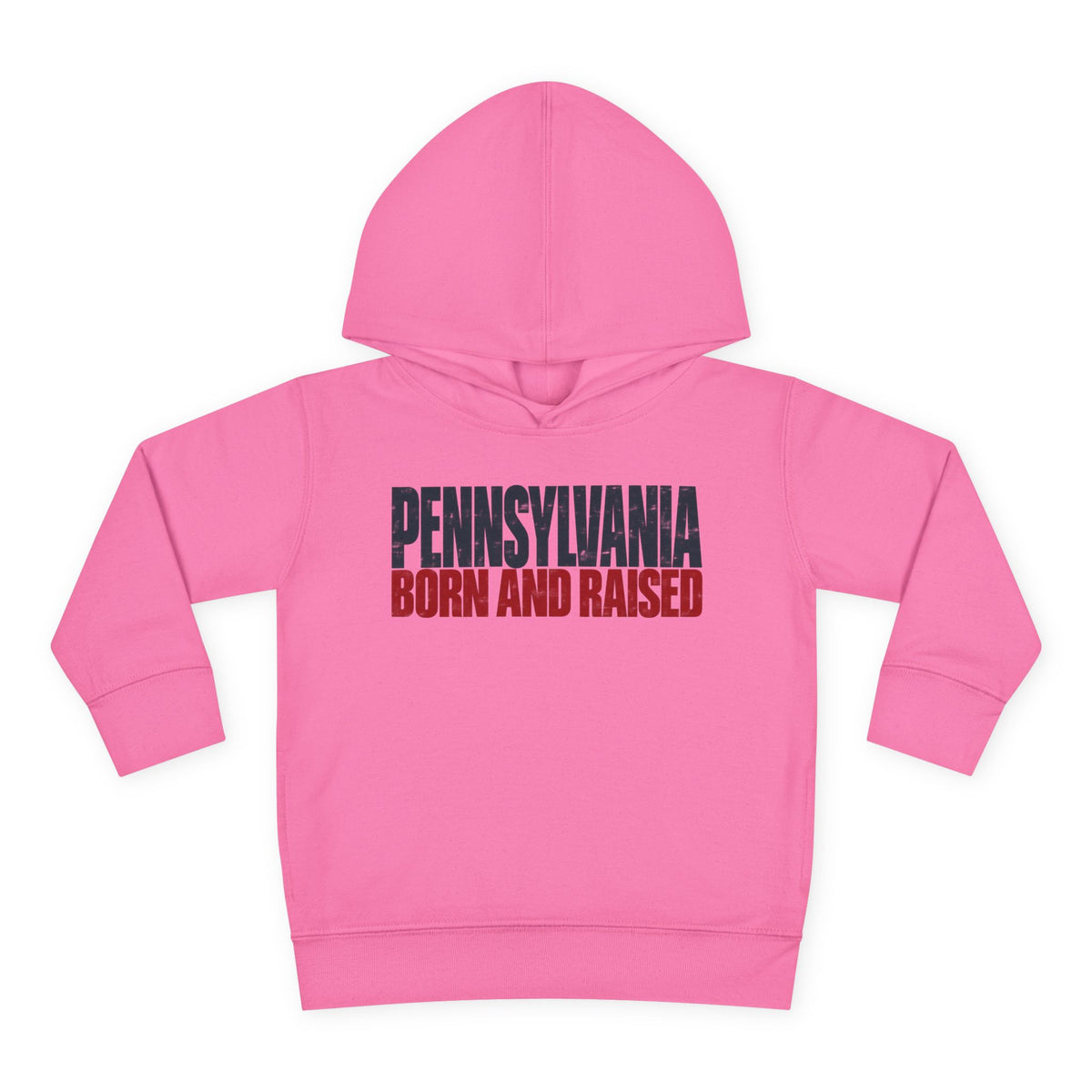 Pennsylvania Born and Raised Northeast Streetwear Unisex Toddler Pullover Fleece Hoodie