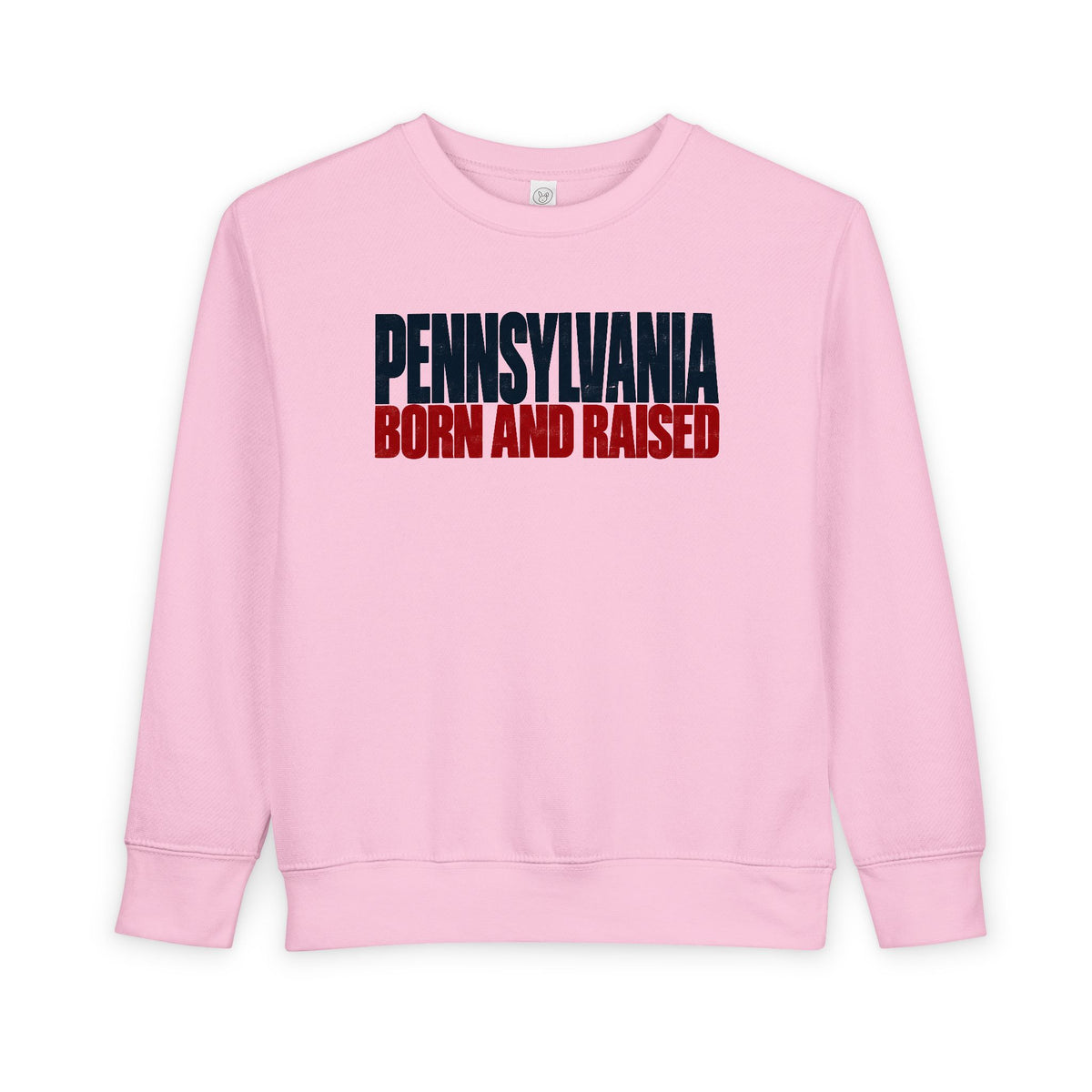 Pennsylvania Born and Raised Northeast Streetwear Unisex Toddler Sweatshirt