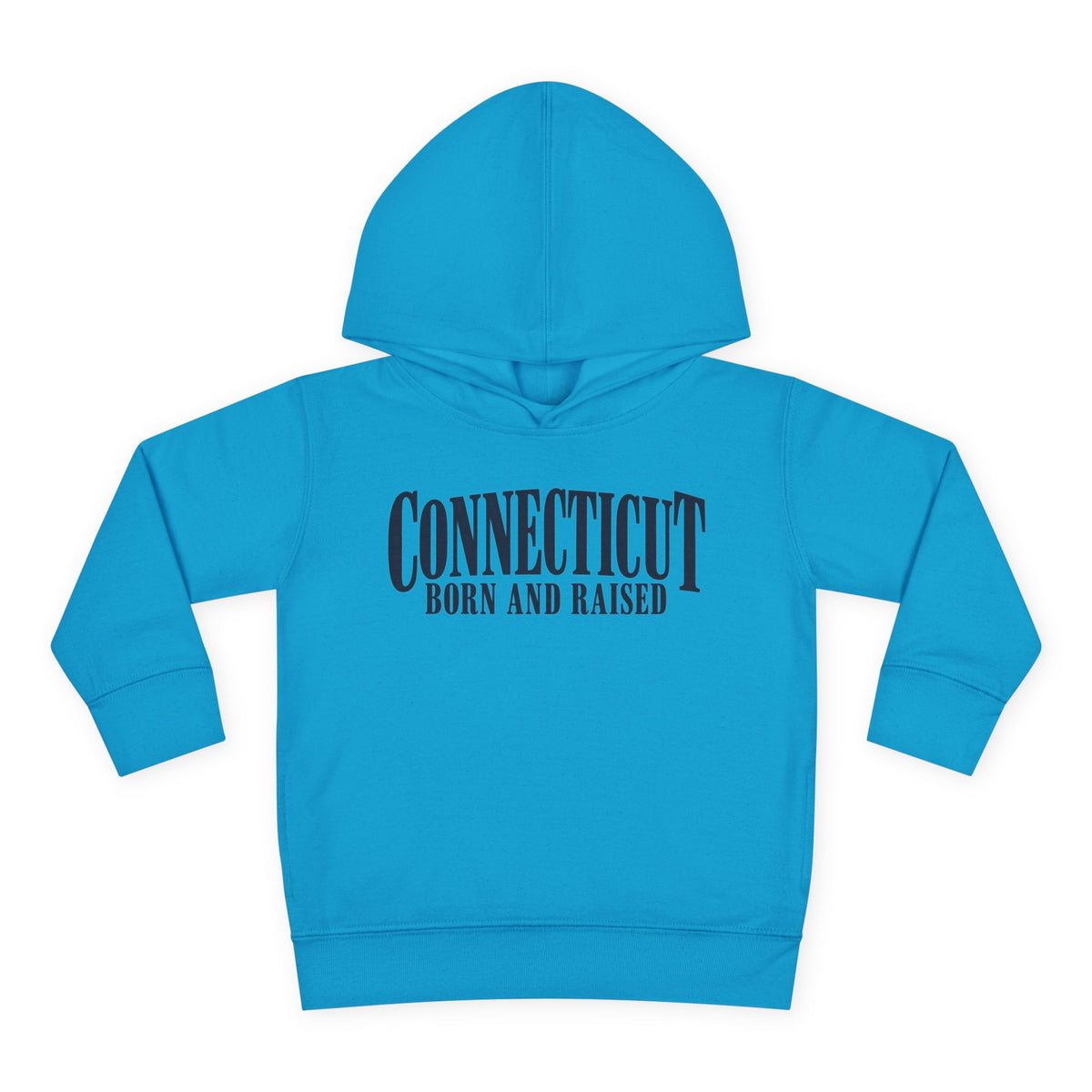 Connecticut Born and Raised Luxury Heritage Unisex Toddler Pullover Fleece Hoodie