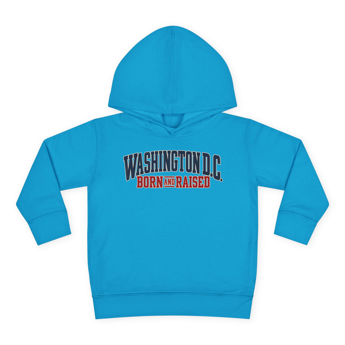 Washington DC Born and Raised Premium East Coast Unisex Toddler Pullover Fleece Hoodie