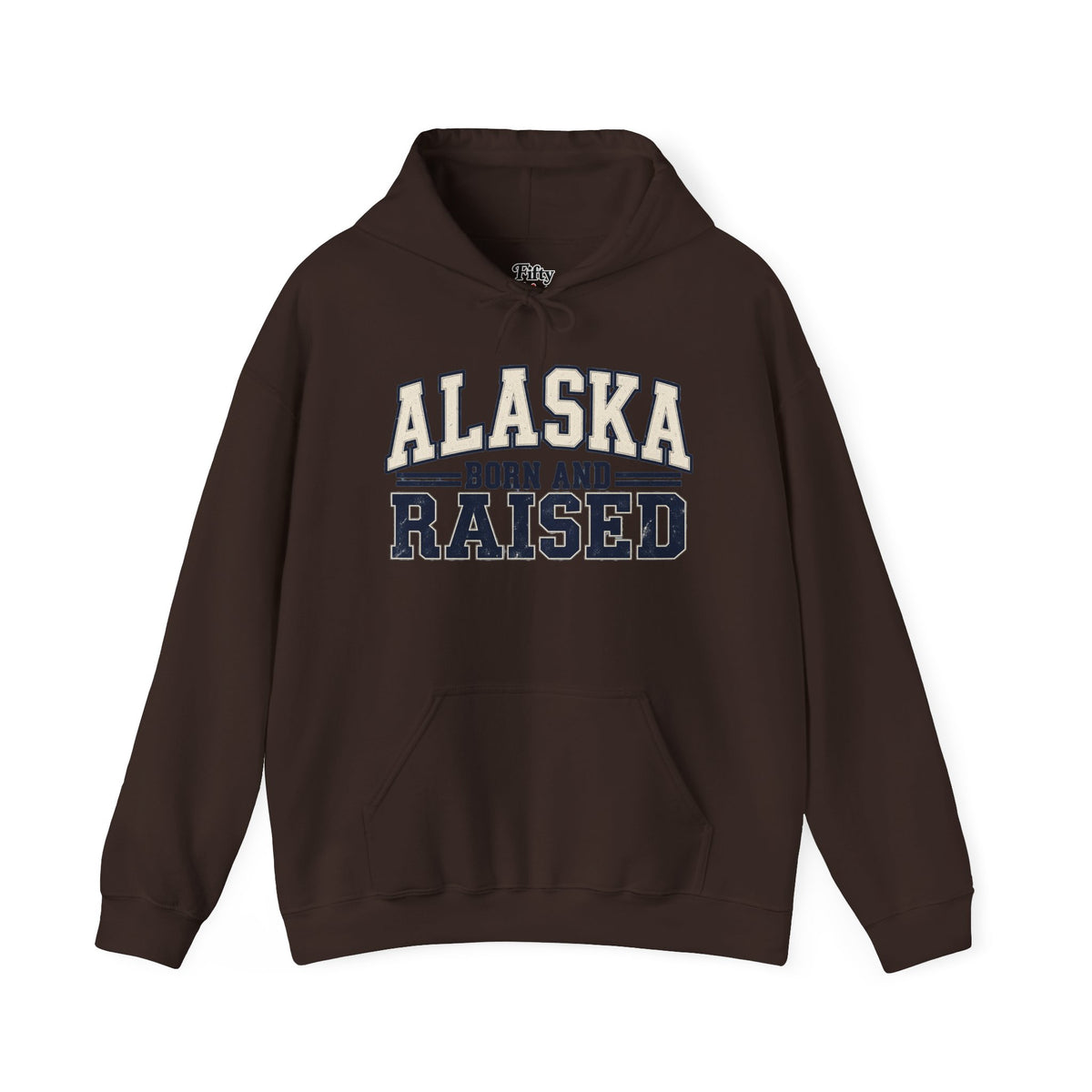 Alaska Born and Raised Unisex Hoodie State Name Graphic
