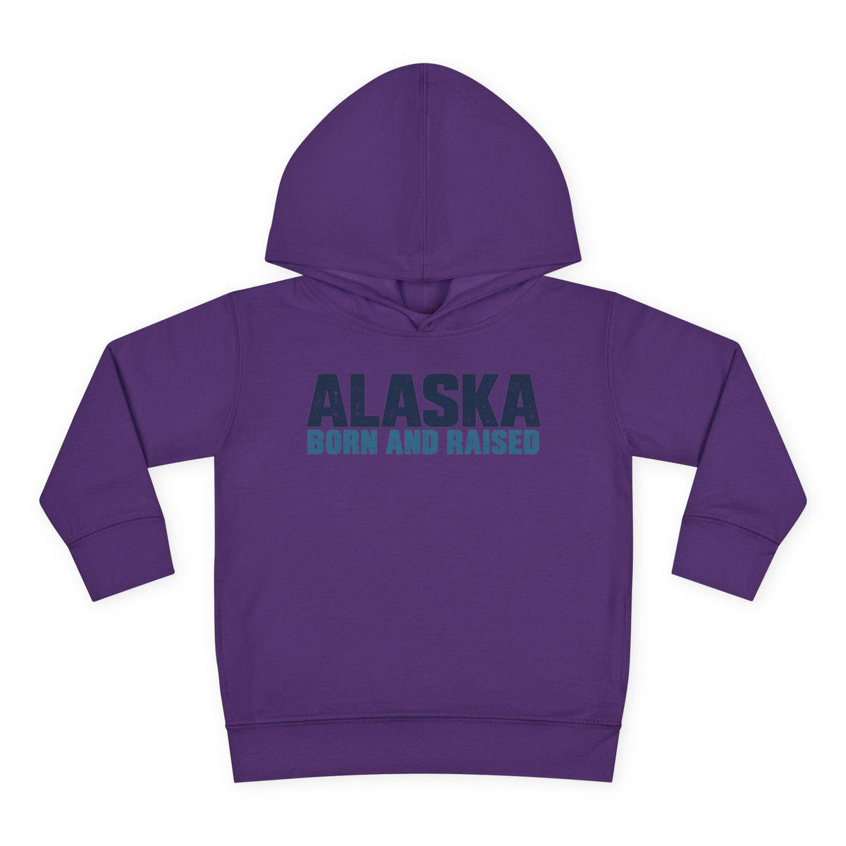 Alaska Born and Raised Modern Streetwear Unisex Toddler Pullover Fleece Hoodie