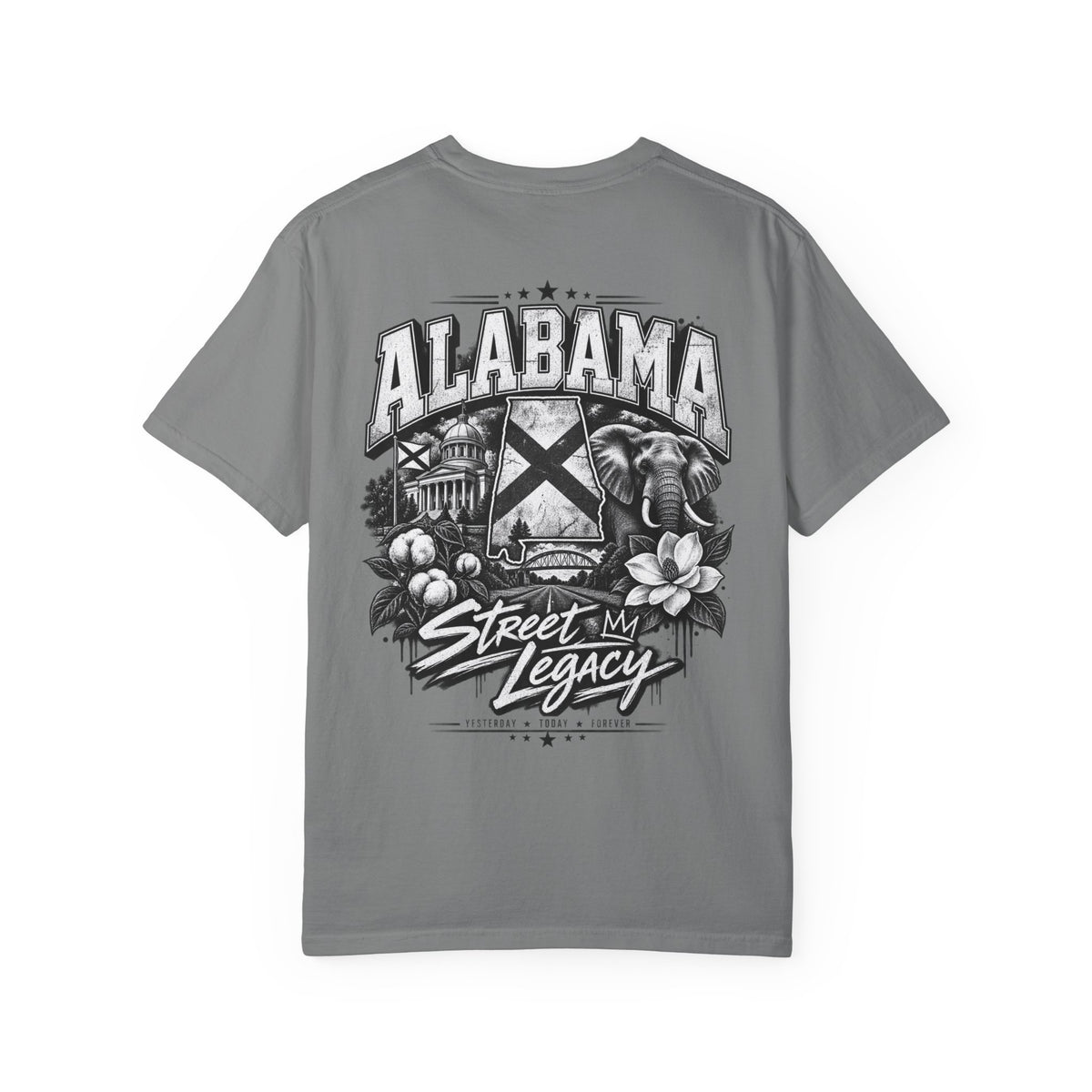Alabama Street Legacy Unisex Comfort Color 1717 Streetwear Graphic Tee