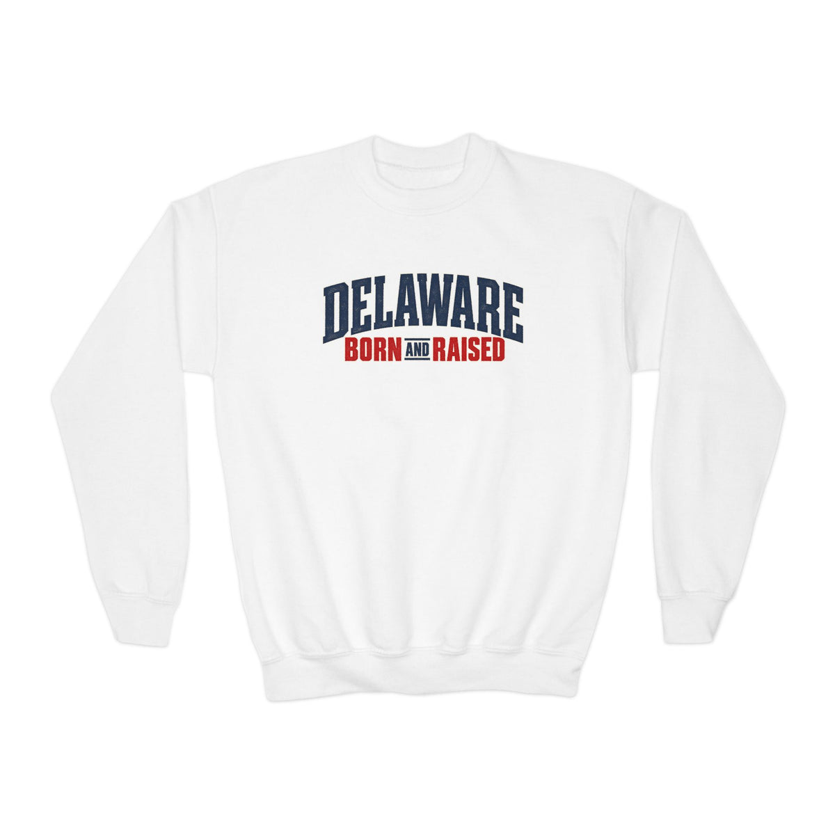 Delaware Born and Raised East Coast Streetwear Unisex Youth Crewneck Sweatshirt Graphic