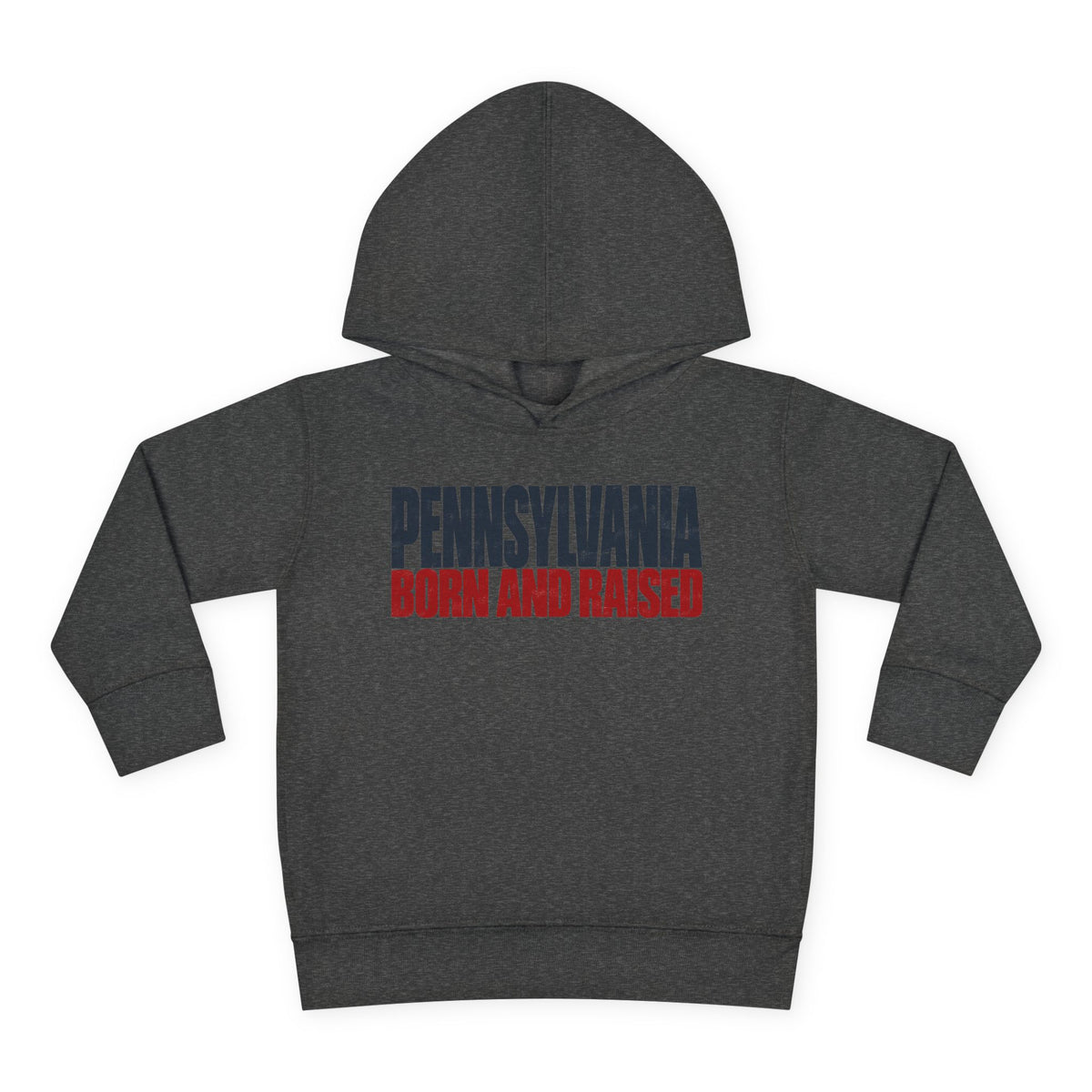 Pennsylvania Born and Raised Northeast Streetwear Unisex Toddler Pullover Fleece Hoodie
