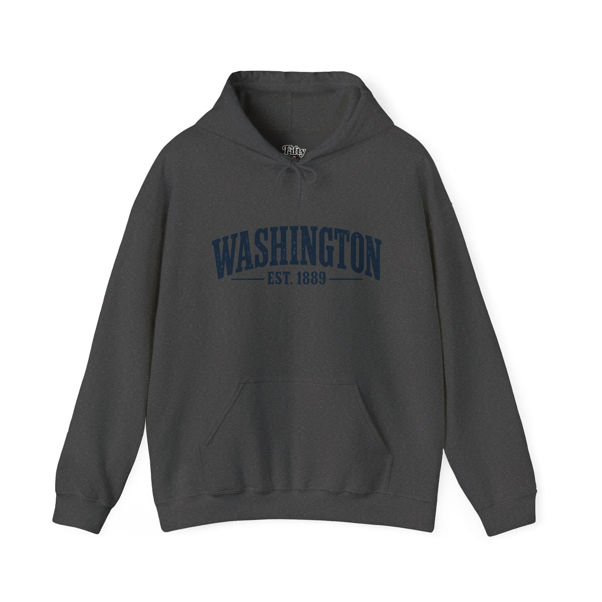 Washington Est 1889 Unisex Hoodie State Name Graphic