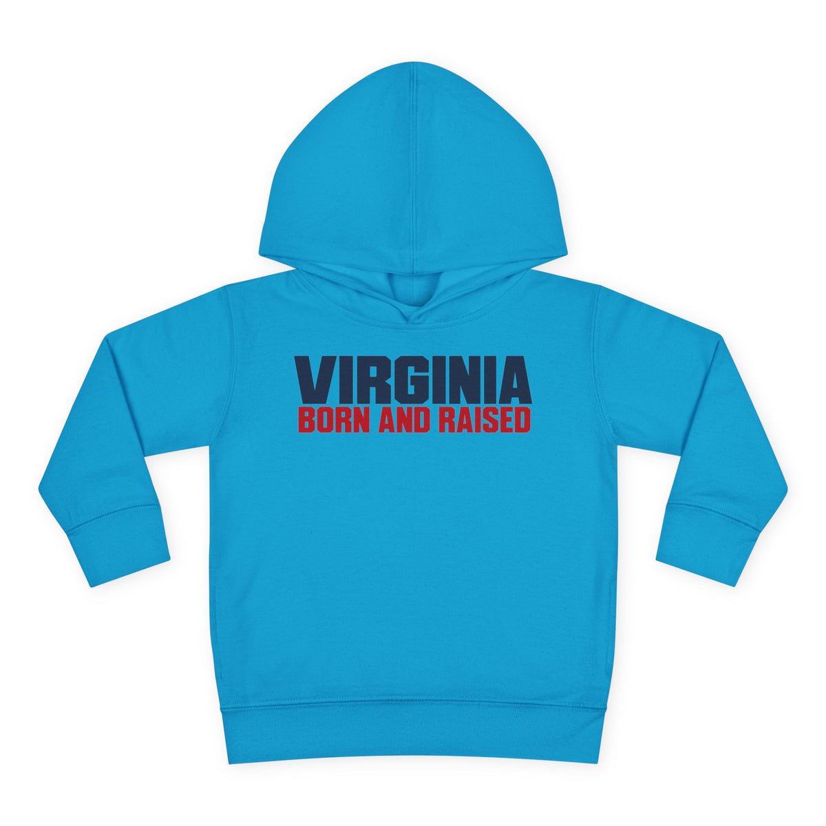 Virginia Born and Raised Minimal Modern Unisex Toddler Pullover Fleece Hoodie