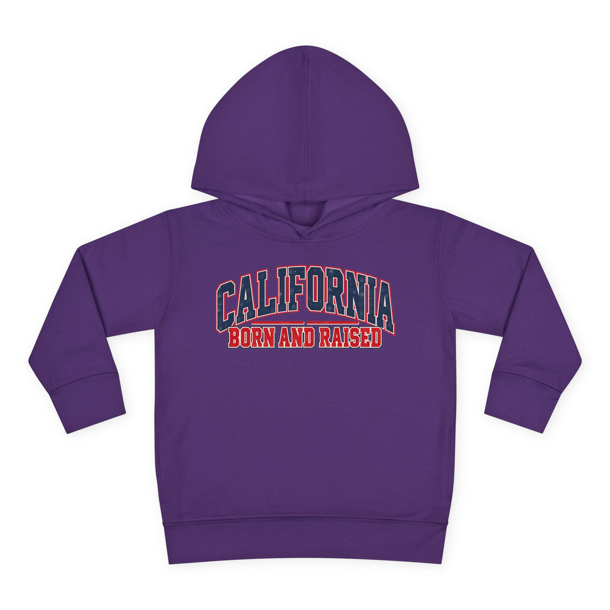 California Born and Raised Vintage Collegiate Unisex Toddler Pullover Fleece Hoodie