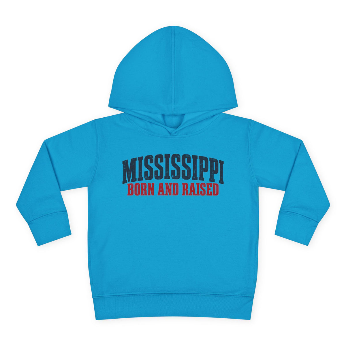 Mississippi Born and Raised Minimal Vintage Unisex Toddler Pullover Fleece Hoodie