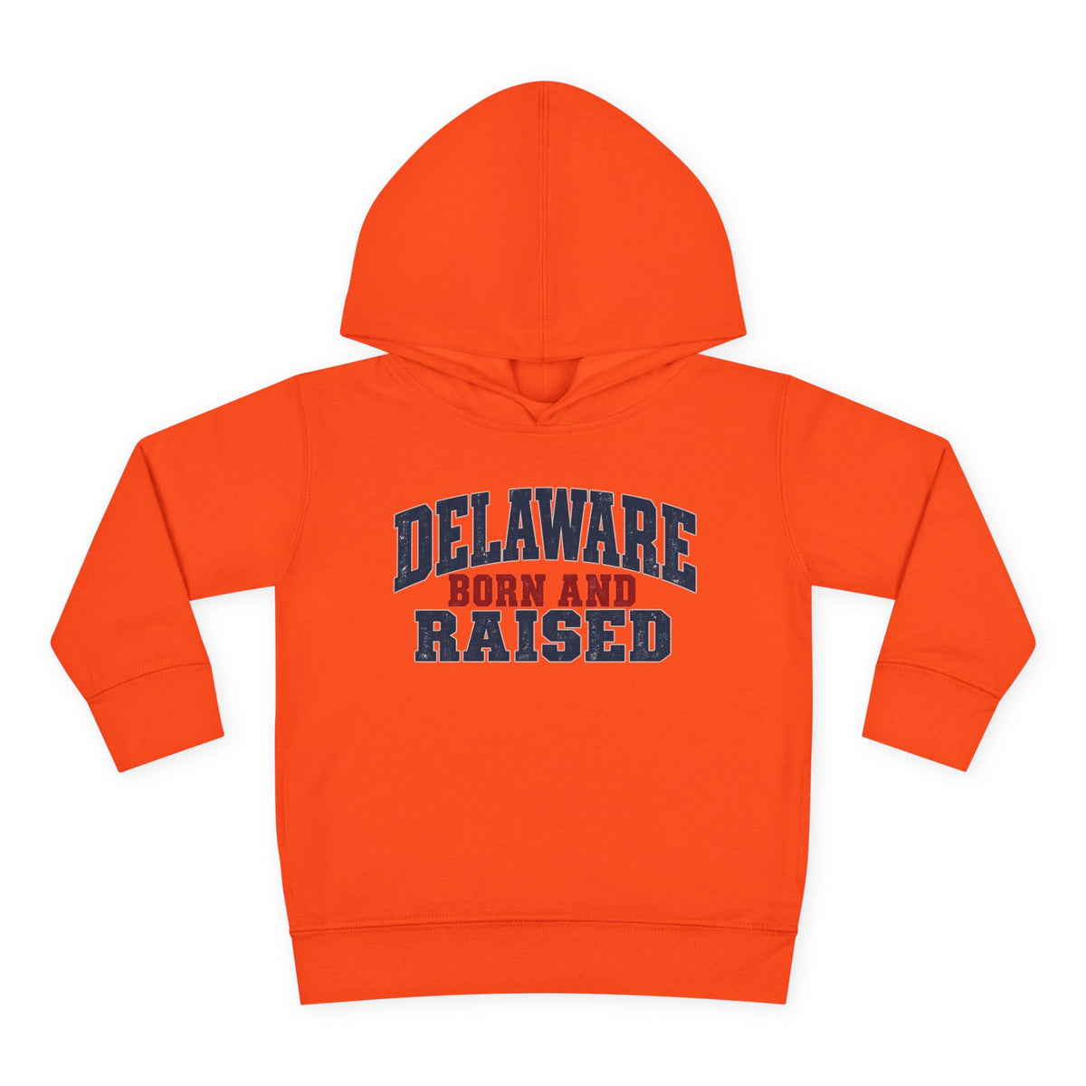 Delaware Born and Raised Rustic Heritage Unisex Toddler Pullover Fleece Hoodie