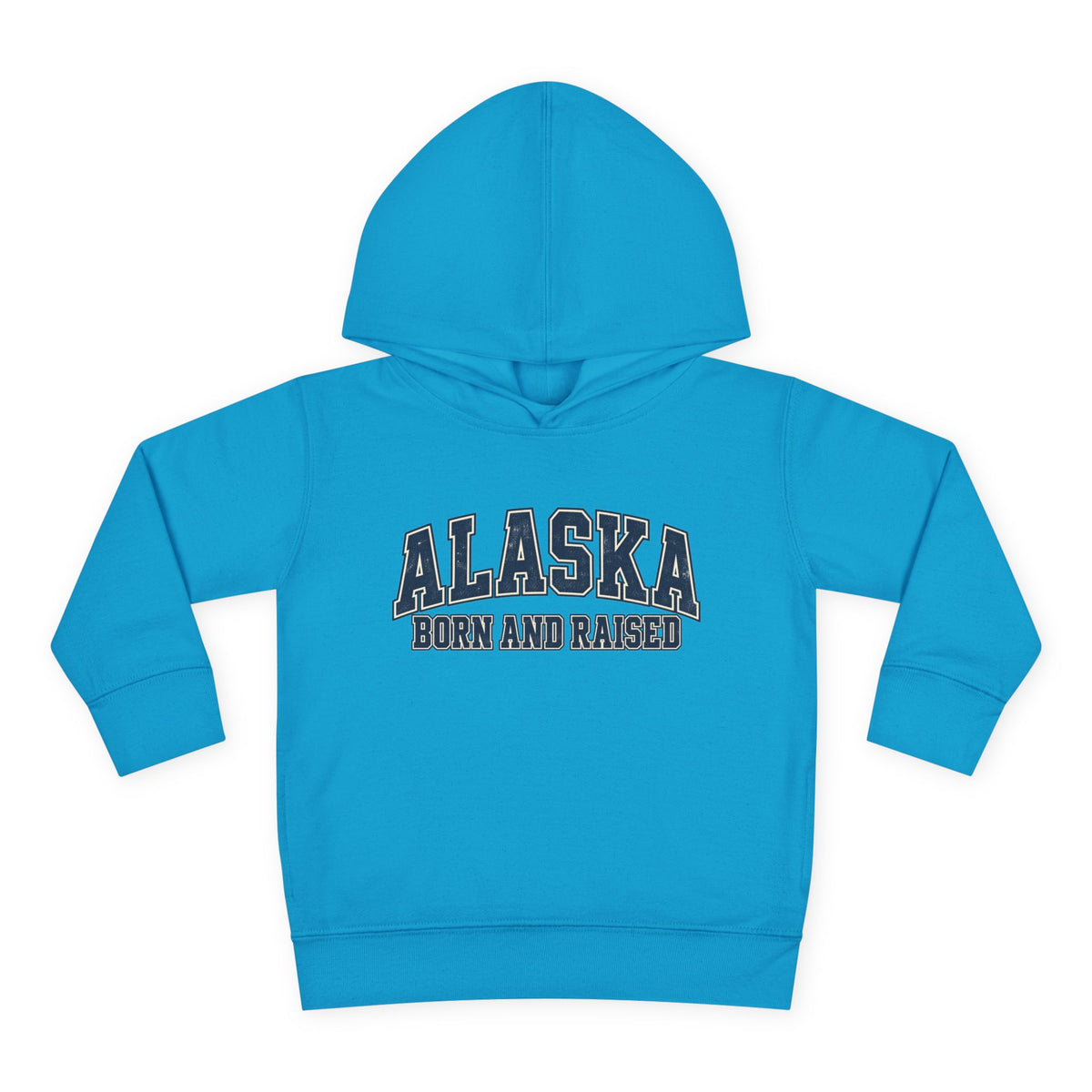 Alaska Born and Raised Classic Collegiate Unisex Toddler Pullover Fleece Hoodie