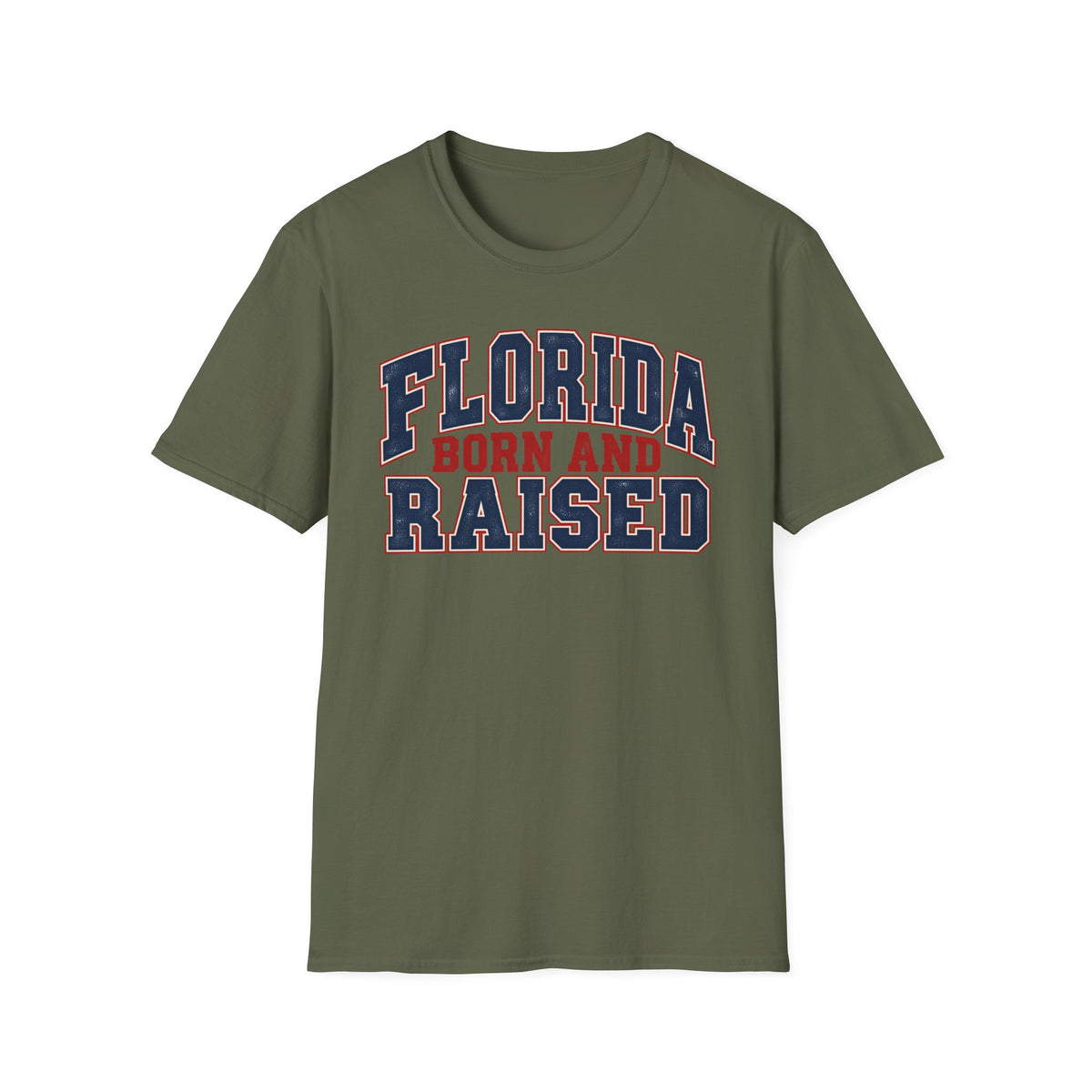 Florida Born and Raised Unisex Softstyle T Shirt State Name Graphic Tee