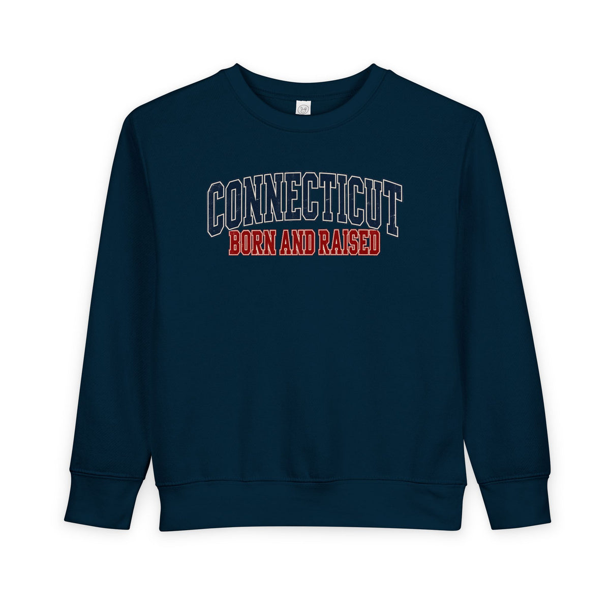Connecticut Born and Raised Retro Collegiate Unisex Toddler Sweatshirt