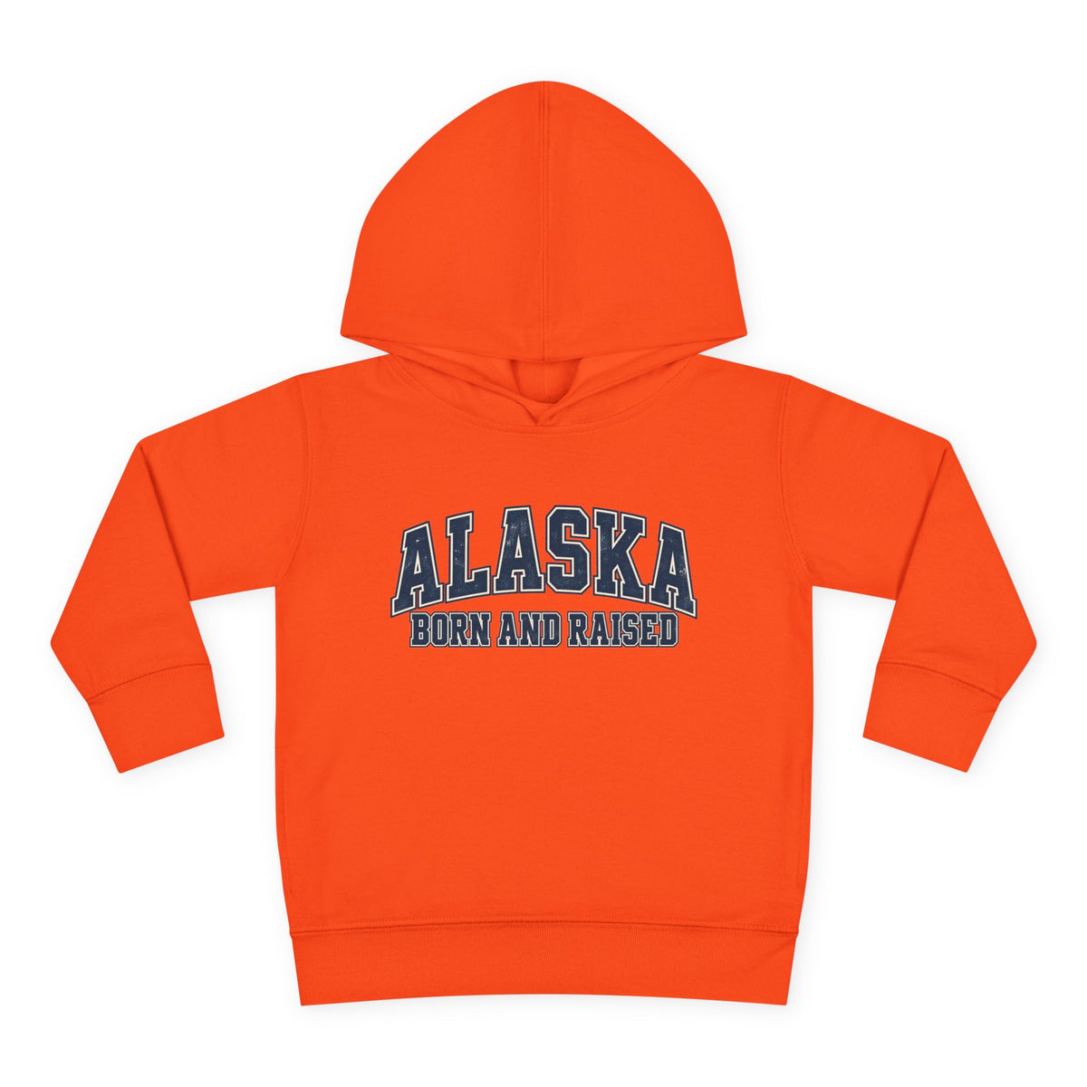 Alaska Born and Raised Classic Collegiate Unisex Toddler Pullover Fleece Hoodie