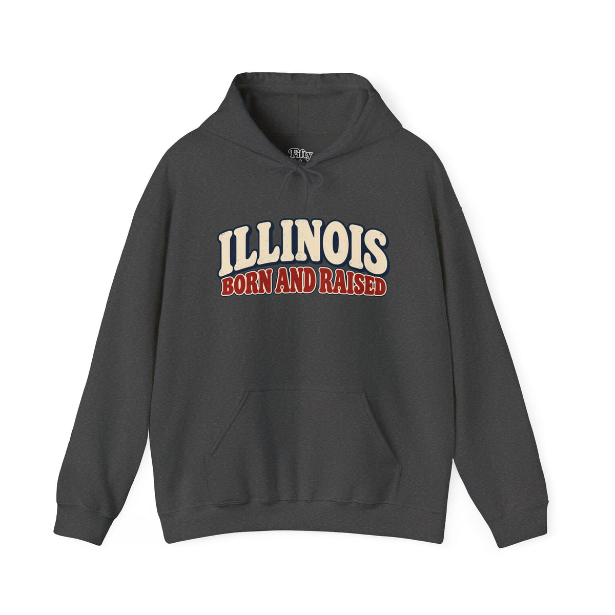 Illinois Born and Raised Retro 1970s Unisex Hoodie Graphic