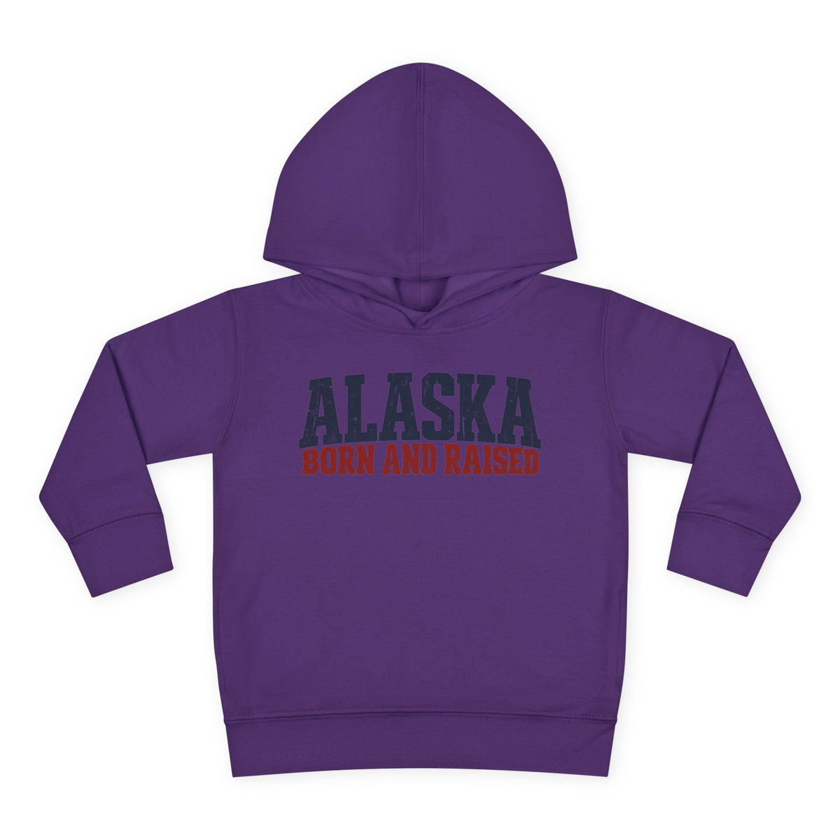 Alaska Born and Raised Bold Northern Workwear Unisex Toddler Pullover Fleece Hoodie
