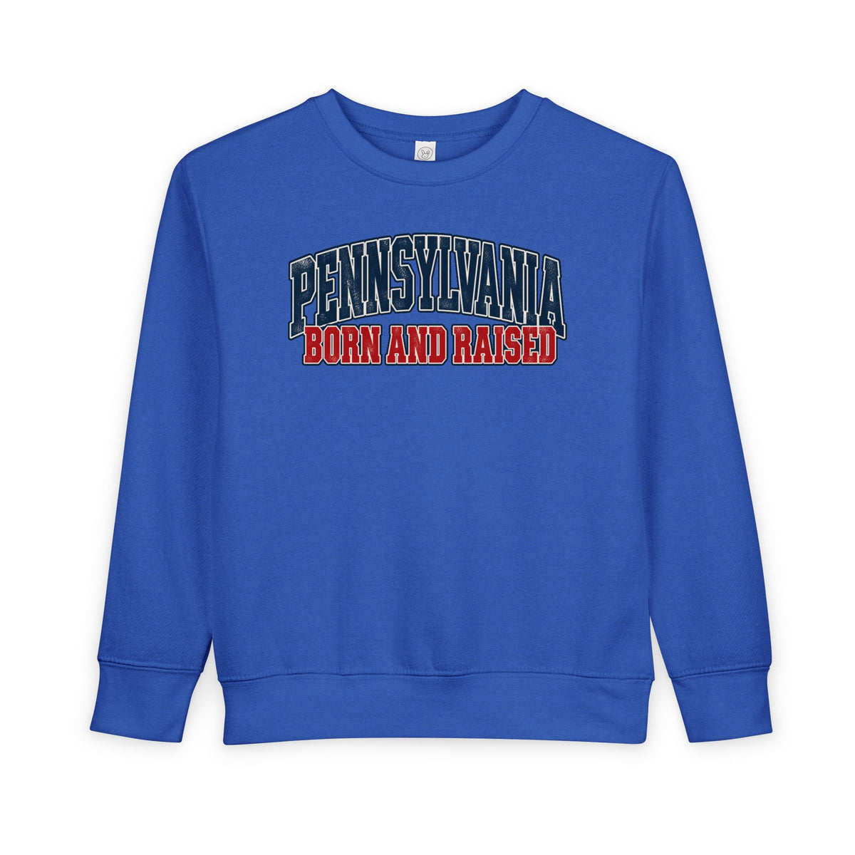 Pennsylvania Born and Raised Vintage Collegiate Unisex Toddler Sweatshirt