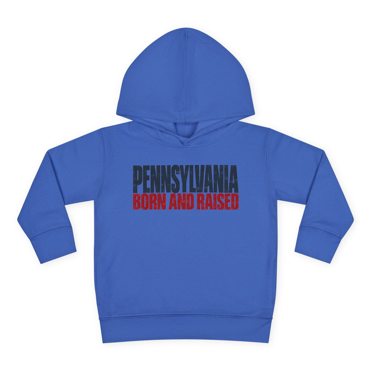 Pennsylvania Born and Raised Northeast Streetwear Unisex Toddler Pullover Fleece Hoodie