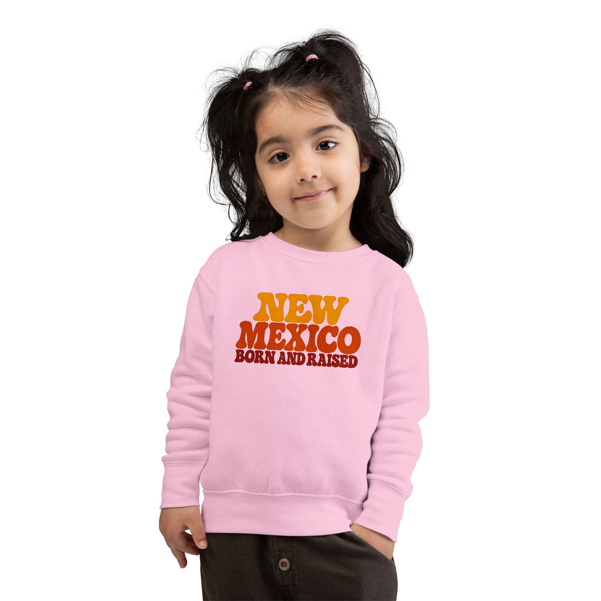 New Mexico Born and Raised 1970s Retro Unisex Toddler Sweatshirt