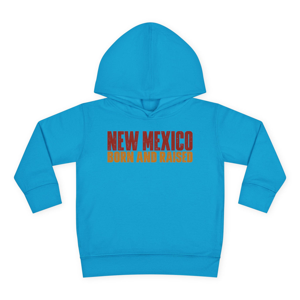 New Mexico Born and Raised Minimal Vintage Unisex Toddler Pullover Fleece Hoodie