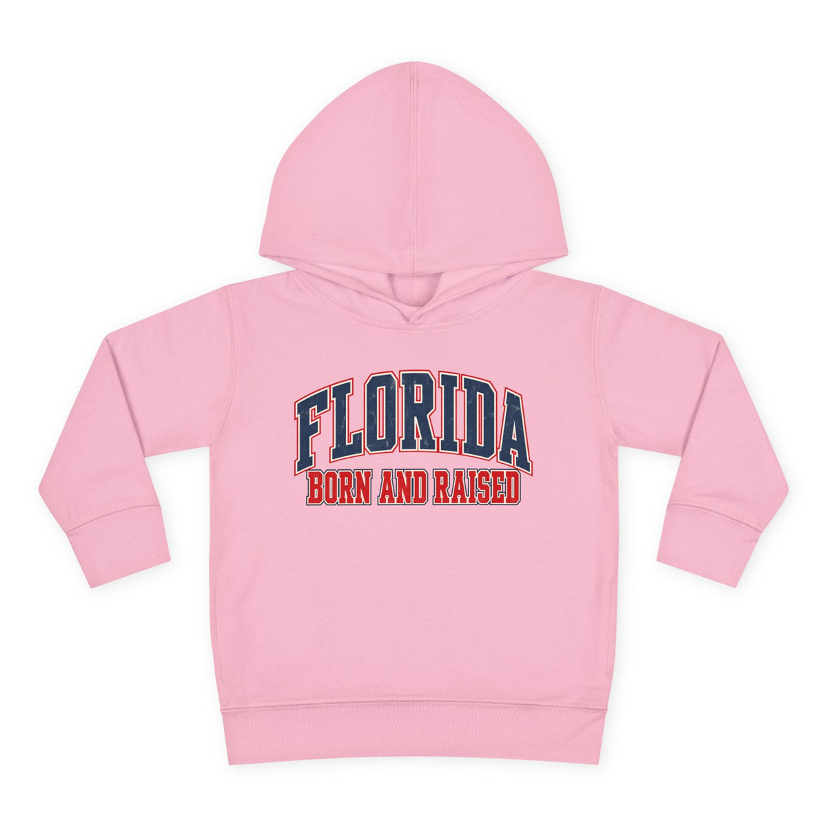 Florida Born and Raised Vintage Collegiate Unisex Toddler Pullover Fleece Hoodie