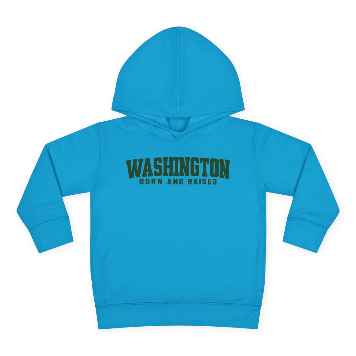 Washington Born and Raised Minimal Modern Unisex Toddler Pullover Fleece Hoodie