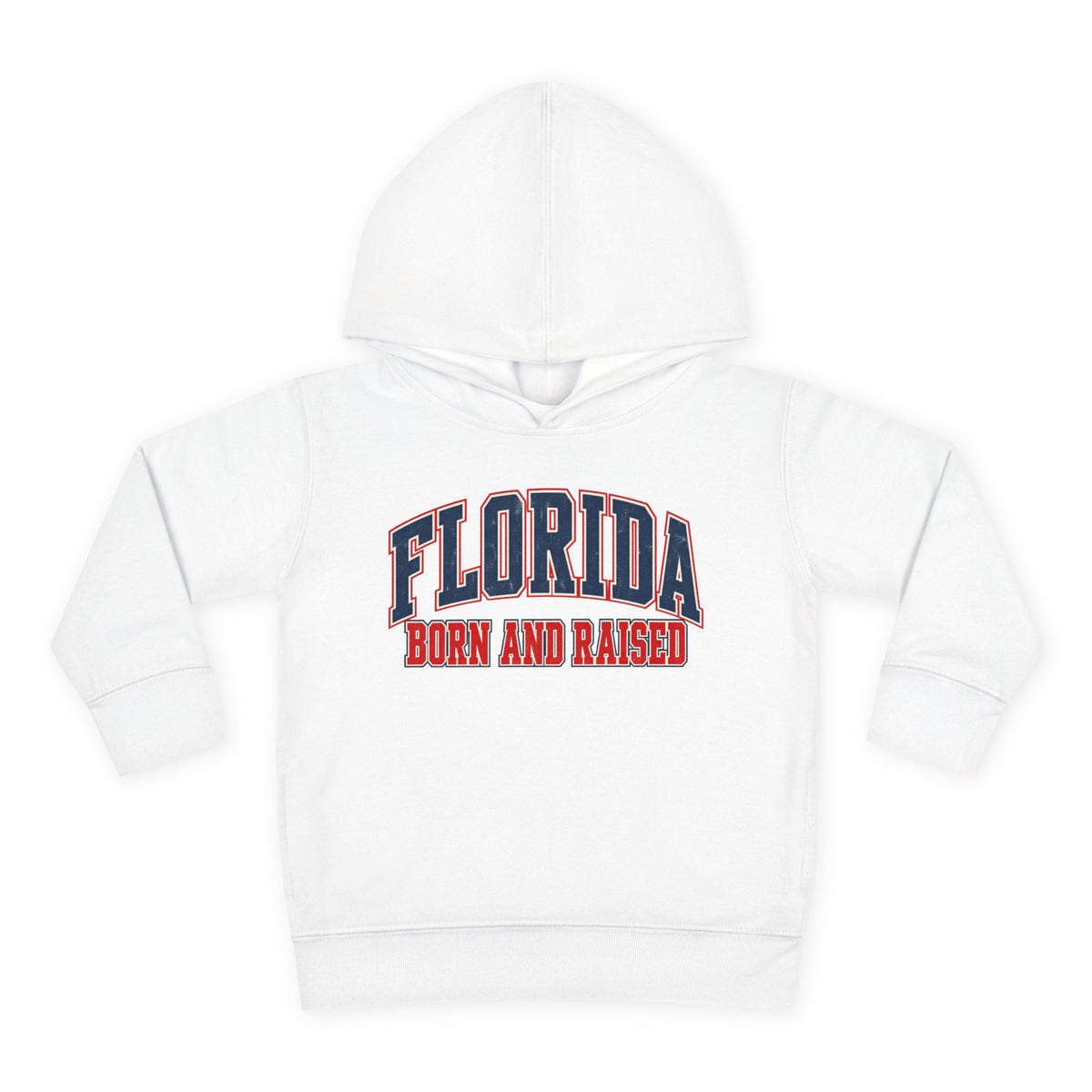 Florida Born and Raised Vintage Collegiate Unisex Toddler Pullover Fleece Hoodie