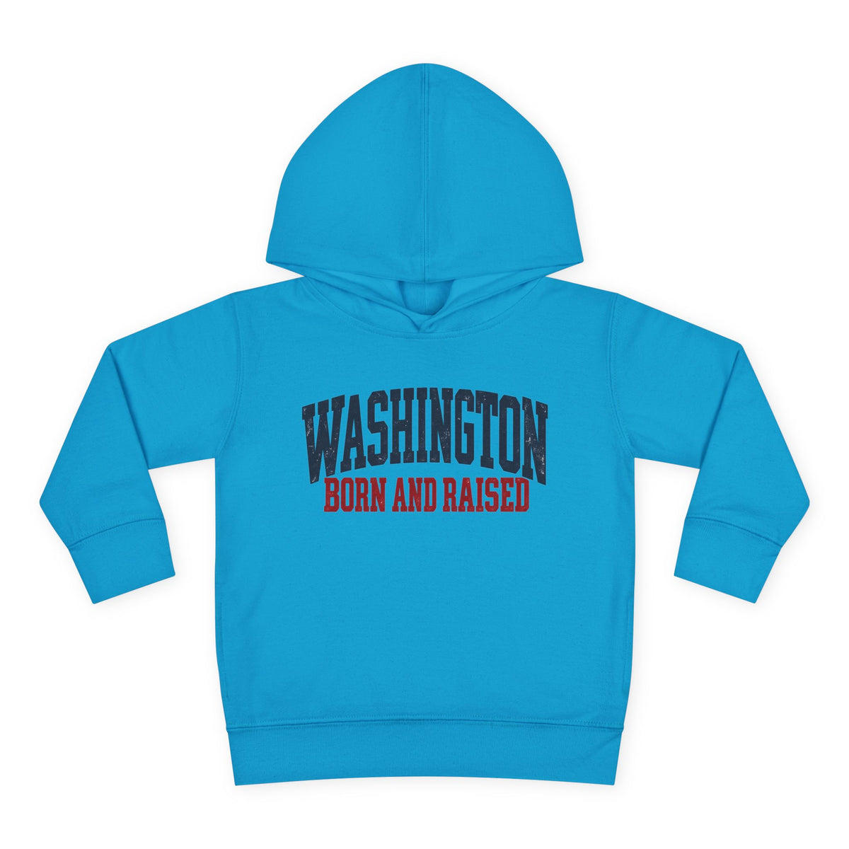Washington Born and Raised Vintage Americana Unisex Toddler Pullover Fleece Hoodie