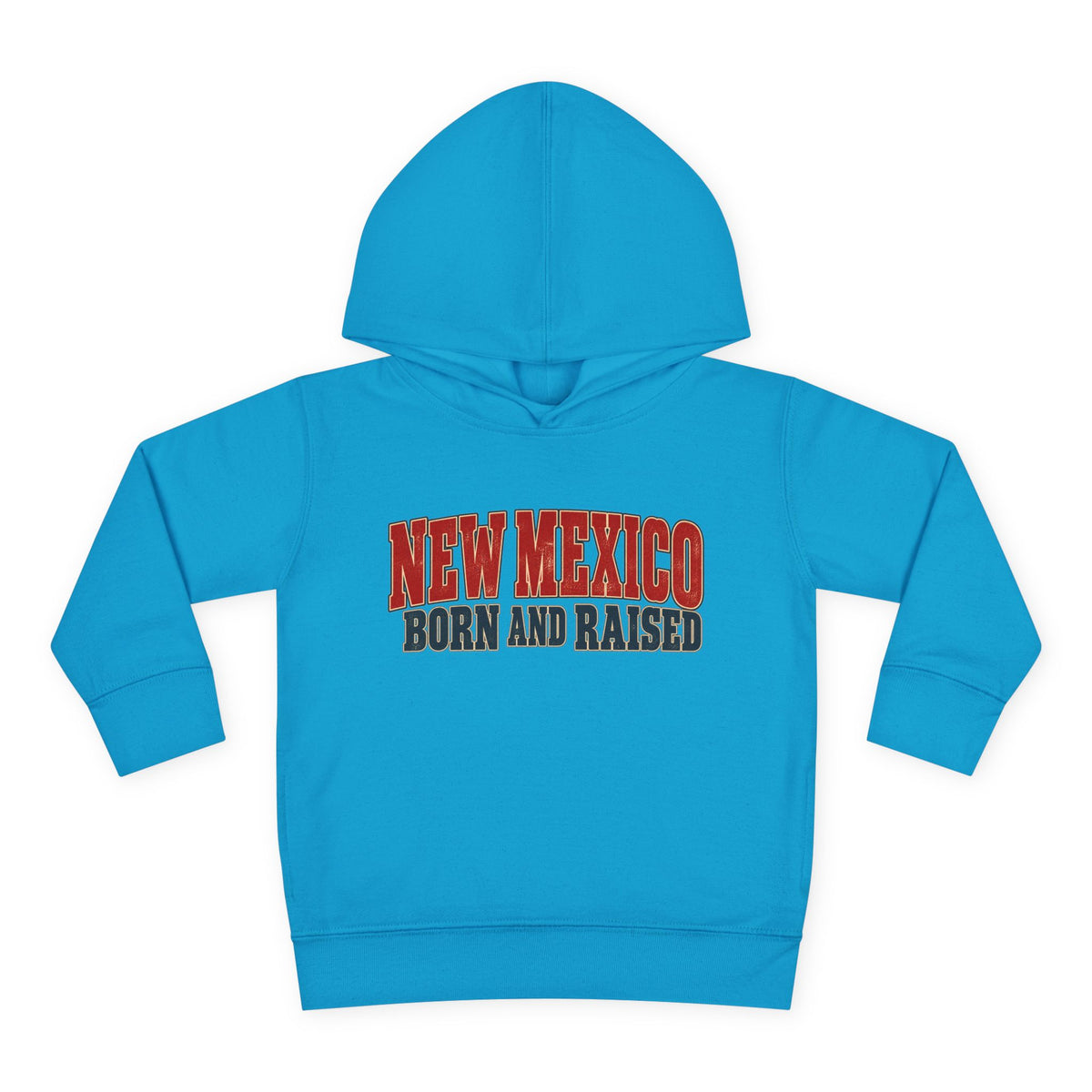 New Mexico Born and Raised Vintage Americana Unisex Toddler Pullover Fleece Hoodie