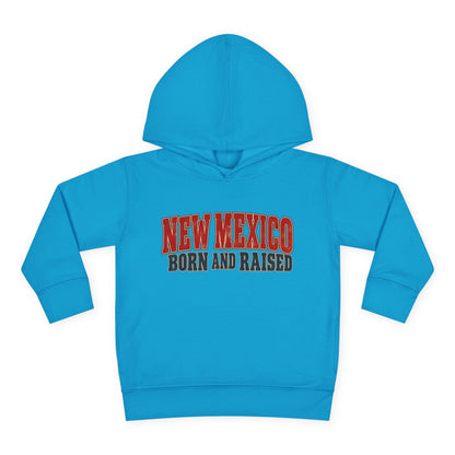 New Mexico Born and Raised Vintage Americana Unisex Toddler Pullover Fleece Hoodie