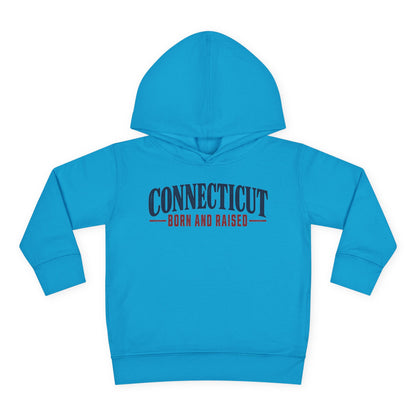 Connecticut Born and Raised Classic New England Unisex Toddler Pullover Fleece Hoodie