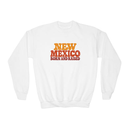 New Mexico Born and Raised 1970s Retro Unisex Youth Crewneck Sweatshirt Graphic