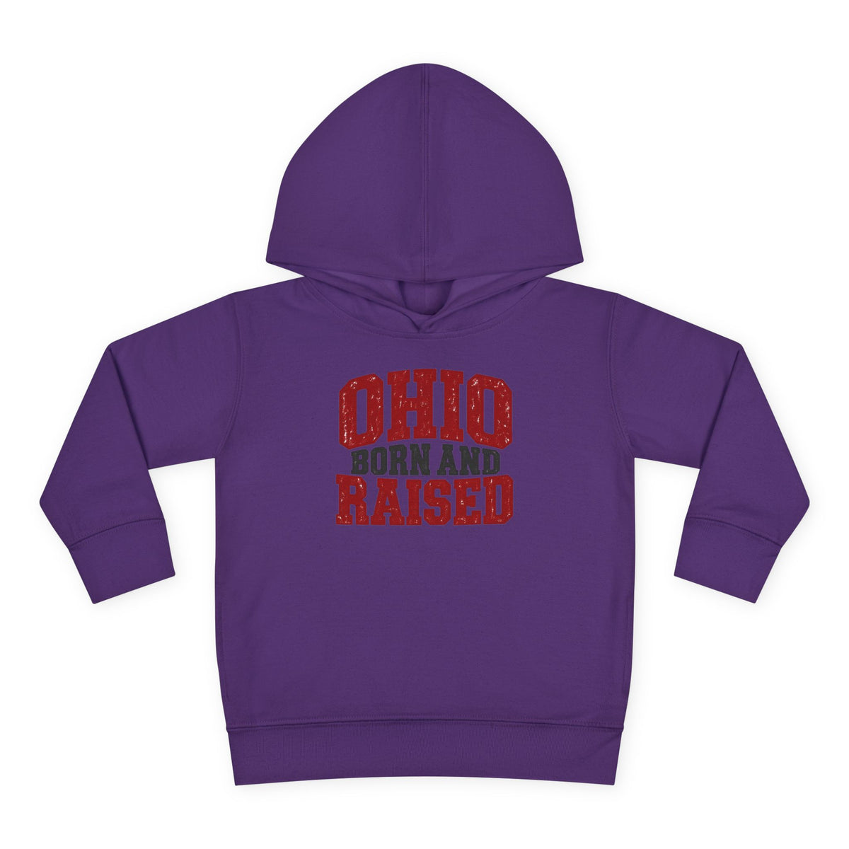 Ohio Born and Raised Midwest Heritage Unisex Toddler Pullover Fleece Hoodie