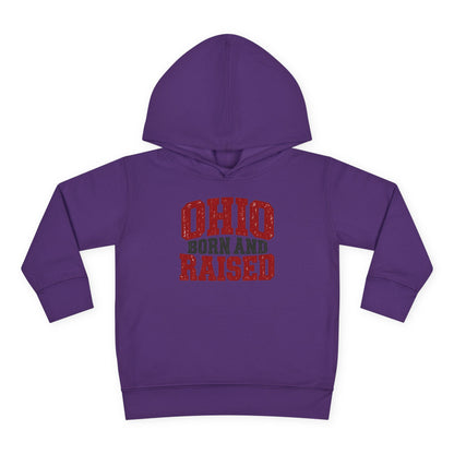 Ohio Born and Raised Midwest Heritage Unisex Toddler Pullover Fleece Hoodie