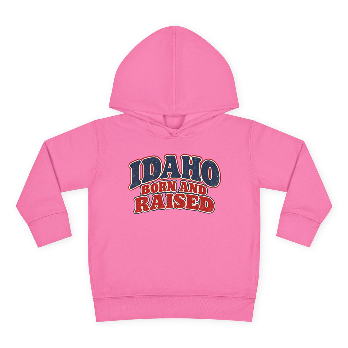 Idaho Born and Raised Retro 1970s Unisex Toddler Pullover Fleece Hoodie