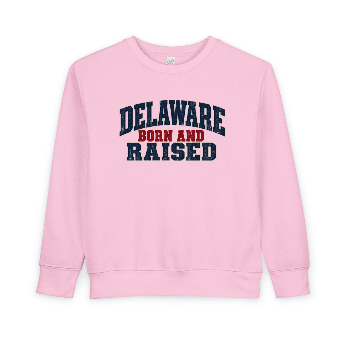 Delaware Born and Raised Rustic Heritage Unisex Toddler Sweatshirt