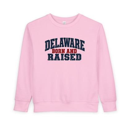 Delaware Born and Raised Rustic Heritage Unisex Toddler Sweatshirt