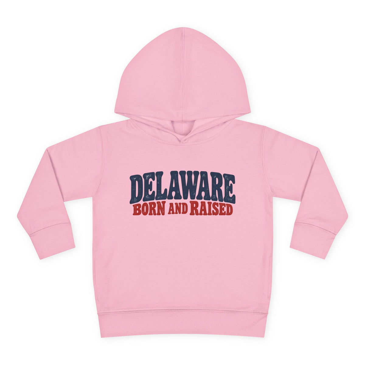 Delaware Born and Raised Retro 1970s Unisex Toddler Pullover Fleece Hoodie