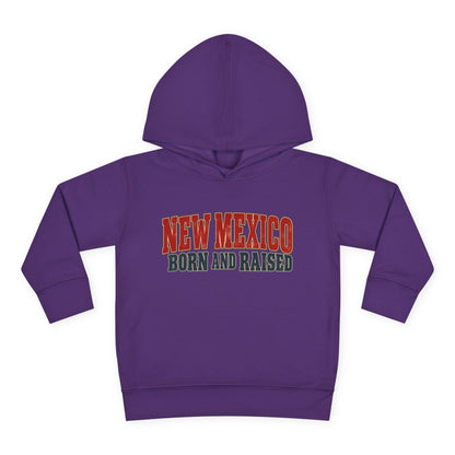 New Mexico Born and Raised Vintage Americana Unisex Toddler Pullover Fleece Hoodie