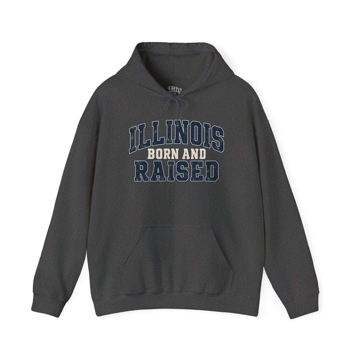 Illinois Born and Raised Unisex Hoodie State Name Graphic