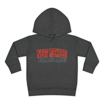New Mexico Born and Raised Vintage Americana Unisex Toddler Pullover Fleece Hoodie