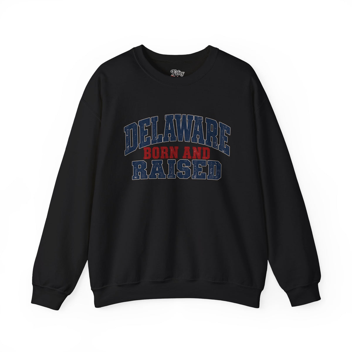 Delaware Born and Raised Rustic Heritage Unisex Sweatshirt Graphic