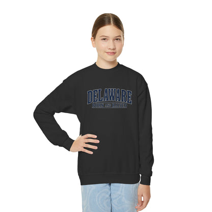 Delaware Born and Raised Luxury Vintage Unisex Youth Crewneck Sweatshirt Graphic
