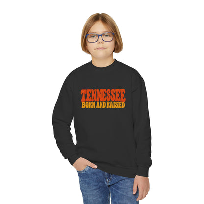 Tennessee Born and Raised Retro 1970s Unisex Youth Crewneck Sweatshirt Graphic