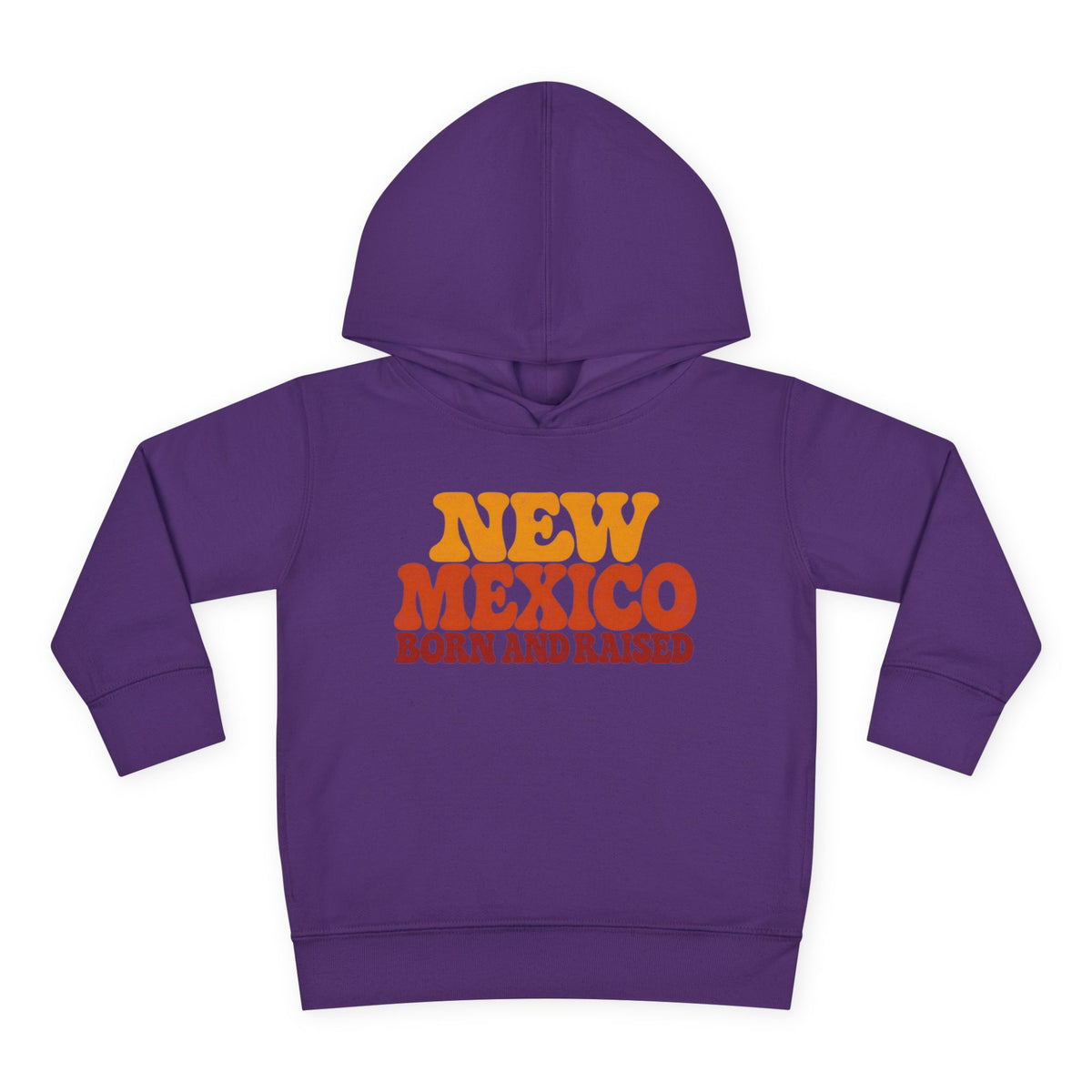 New Mexico Born and Raised 1970s Retro Unisex Toddler Pullover Fleece Hoodie