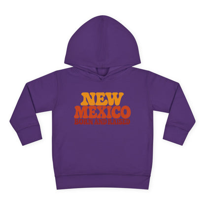 New Mexico Born and Raised 1970s Retro Unisex Toddler Pullover Fleece Hoodie