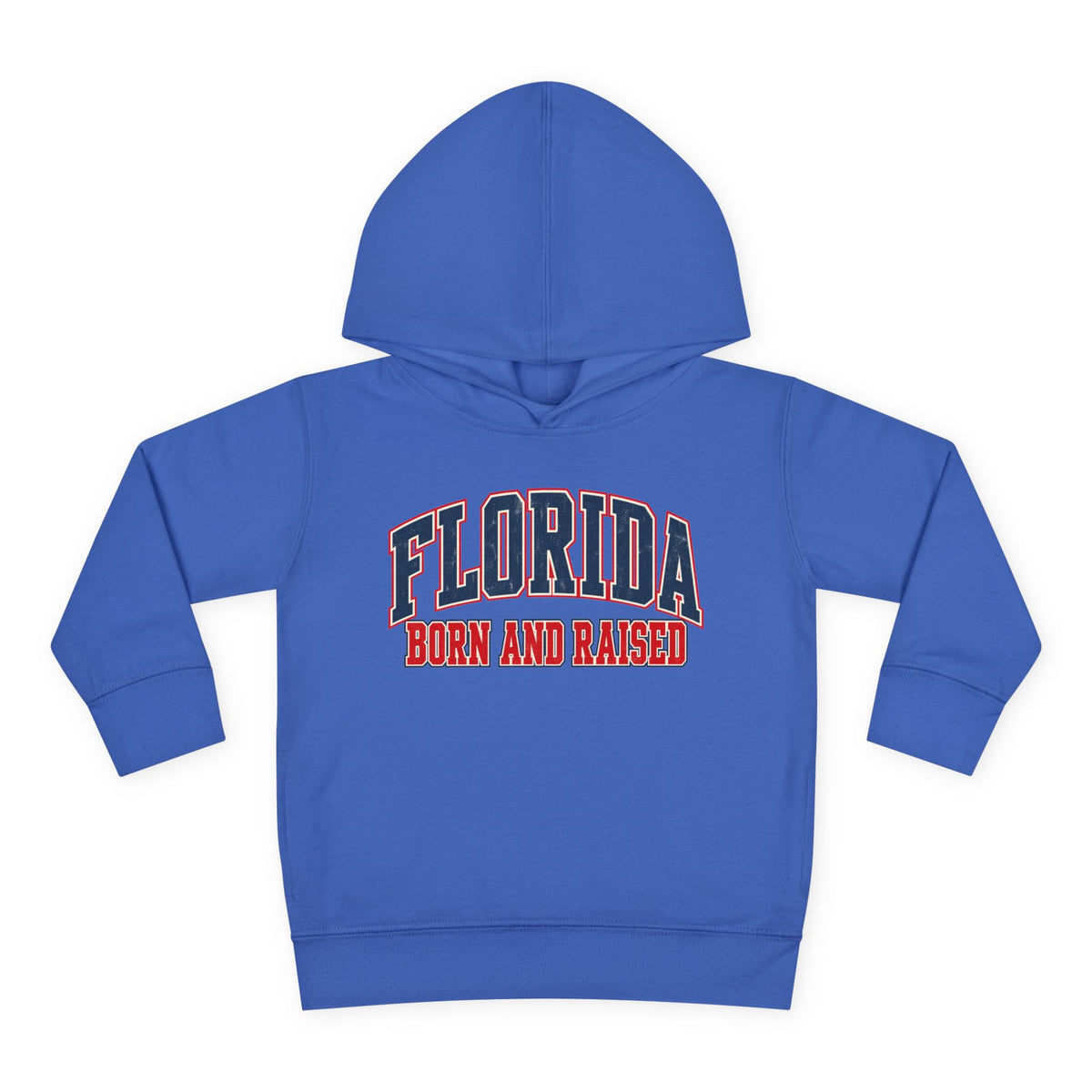 Florida Born and Raised Vintage Collegiate Unisex Toddler Pullover Fleece Hoodie